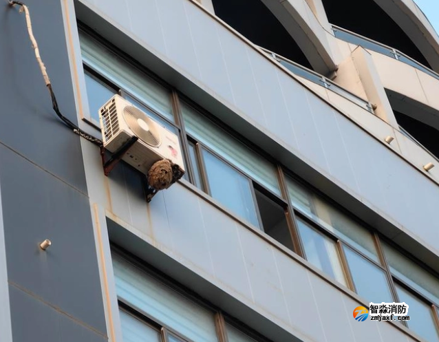 1668568311124066.png image.png